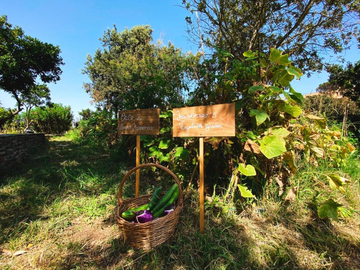 Villa Patrizia Stintino Esterno foto
