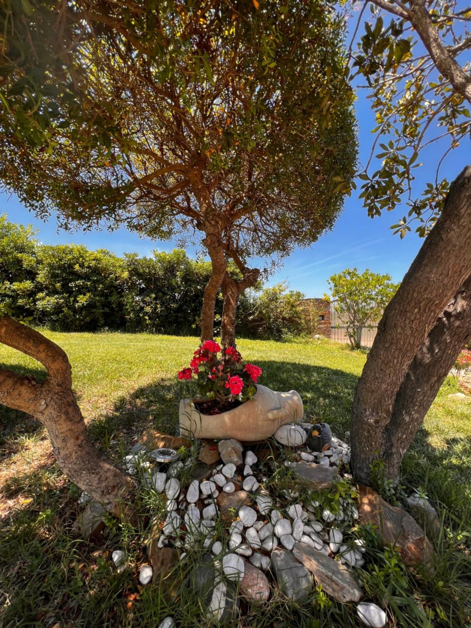Villa Patrizia Stintino Esterno foto